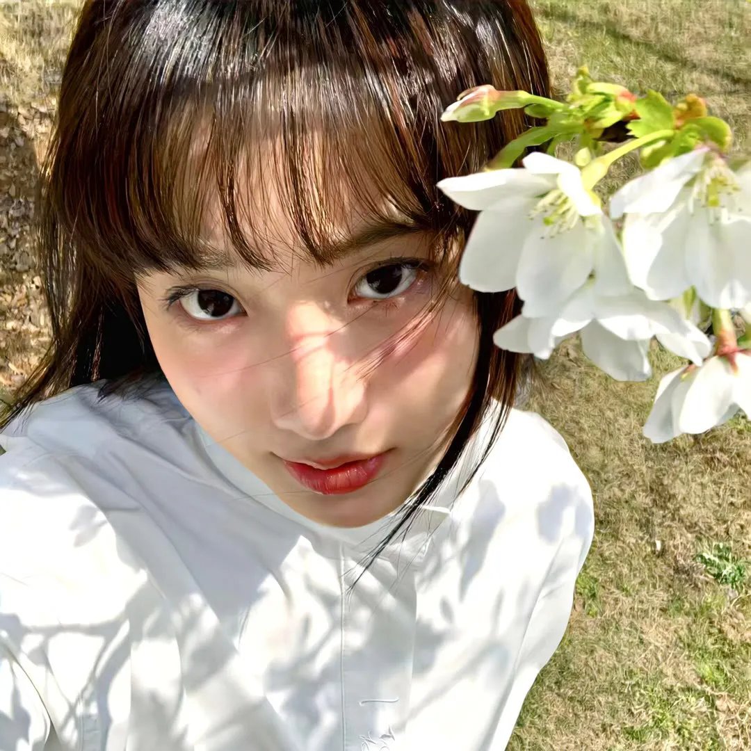 新宿黑社会