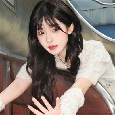 高卢勇士之美洲历险